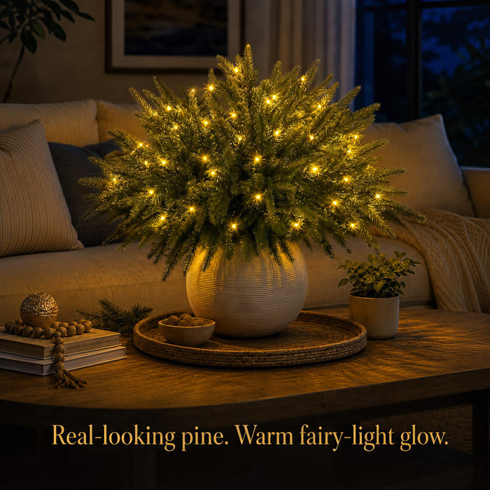 Evergreen Pine Branch Lights — Warm Glow Indoor Decor