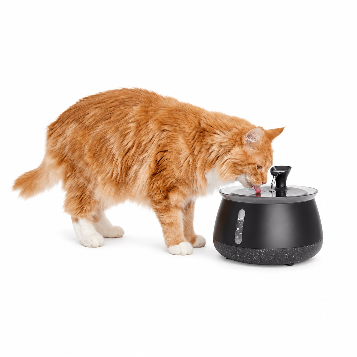 2.7L Cat Water Fountain — Quiet Filtered Flow & Easy-Clean Design